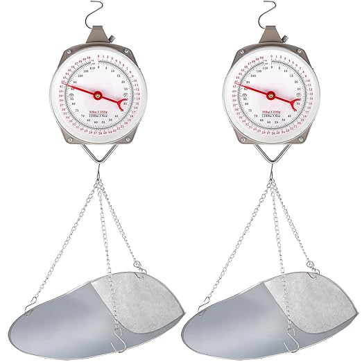 2 Sets 110 lbs Large Display Hanging Scale with Scale Scoop Kitchen Dial Weight Scale Silver Industrial Spring Scales for Shopping Traveling Food Produce Weighing