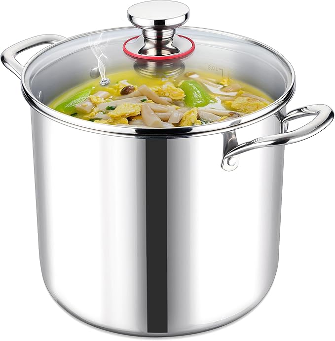LIANYU 10 Quart Pot with Lid, 10QT Tri-Ply Heavy Duty Stock Pot, 18/10 Stainless Steel Stockpot, Canning Pasta Cooking Stockpot for Induction, Gas&Electric Cooktops, Visible Lid