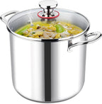 LIANYU 10 Quart Pot with Lid, 10QT Tri-Ply Heavy Duty Stock Pot, 18/10 Stainless Steel Stockpot, Canning Pasta Cooking Stockpot for Induction, Gas&Electric Cooktops, Visible Lid