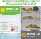 TBMax Fruit Storage Containers for Fridge, 6 Pcs Produce Saver with Colander for Rinsing, Berry Containers Lettuce Keeper Refrigerator Organizers Airtight Food Storage with Lid