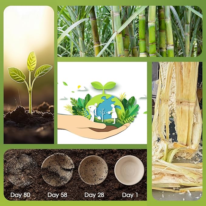 ECOLipak 32 OZ Large Compostable Disposable Paper Bowls, 70 Pack Biodegradable Bagasse Eco-Friendly Sugarcane Soup Bowls for Salad Wheat Flakes(Nature)