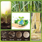 ECOLipak 32 OZ Large Compostable Disposable Paper Bowls, 70 Pack Biodegradable Bagasse Eco-Friendly Sugarcane Soup Bowls for Salad Wheat Flakes(Nature)