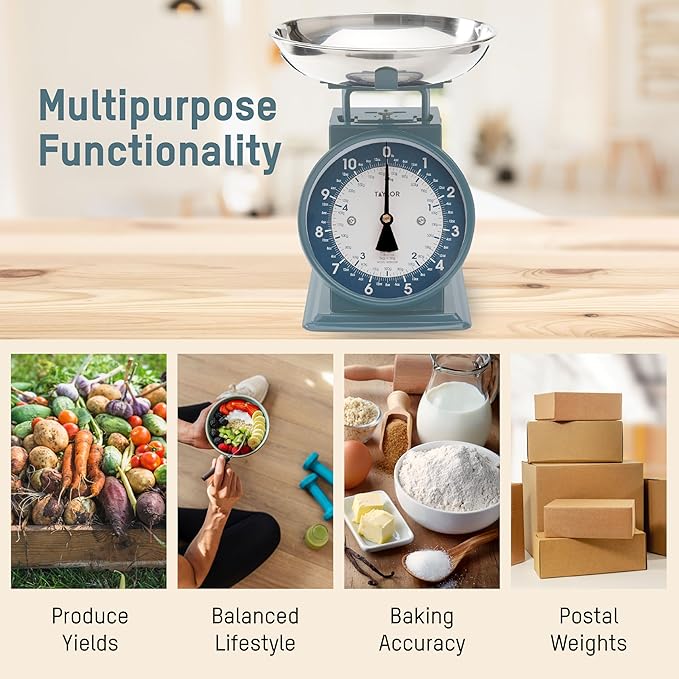 Taylor Mechanical Kitchen Weighing Food Scale with Bowl, Weighs up to 11lbs, Measures in Grams and Ounces, Food Scales for Kitchen, Storm Blue