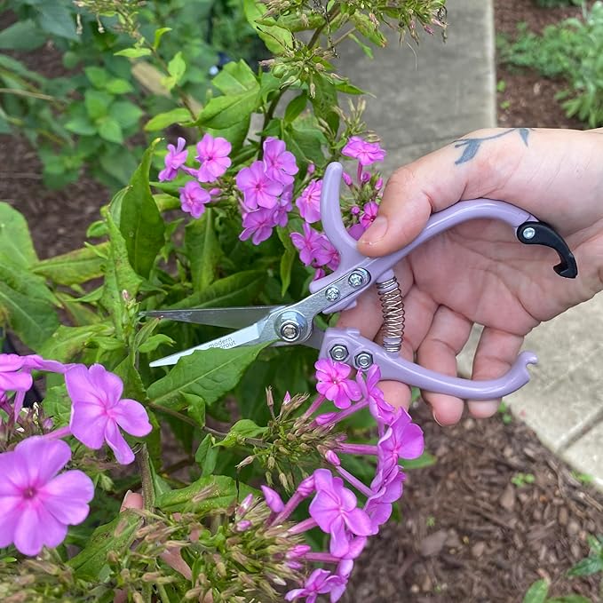 Modern Sprout Pruning Shears - Herb Snipping Scissors- Lightweight Gardening Tools W/Easy Lock - Flower Cutter Garden Shears - Carbon Steel Blade + Reusable Holster (Lavender, 1-Pack)
