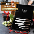 Cutluxe 5-Piece Chef Knife Set – Ultra Sharp Japanese Kitchen Knives, High Carbon Stainless Steel Blades, Full Tang Pakkawood Handles – Shinobi Series