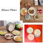 Wheat Straw Plates Lightweight Unbreakable Dinner Dishes Plates Set Dishwasher & Microwave Safe (Extra Large 4 Pack 10')