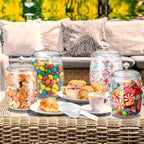 Nuogo 4 Pcs Plastic Candy and Cookie Jars with Lids Clear Cookie Container Candy Jars Large Airtight Apothecary Storage Organization for Wedding Home Kitchen Bar(64 oz)