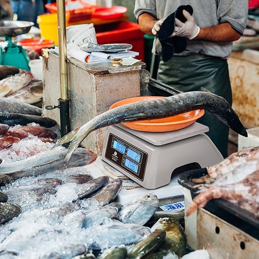 Price Computing Scale 66lb Digital Rechargeable Commercial Weight for Produce Food Meat Fruit Vegetable with Dual Large Display, Give Change Function and 5 Direct Plus Included, Not for Trade