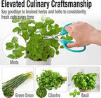 Beaditive Culinary Herb Scissors - Compact 6.5-Inch Stainless Steel Kitchen Scissors - Dishwasher Safe - Sharp Tip for Snipping Fresh Herbs