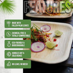 Palm Leaf Plates 10 Inch (50-Pack), Square Bamboo Plates Disposable, Heavy Duty Compostable & Biodegradable Wooden Plates for Party, Catering Events, Weddings, & Dinnerware