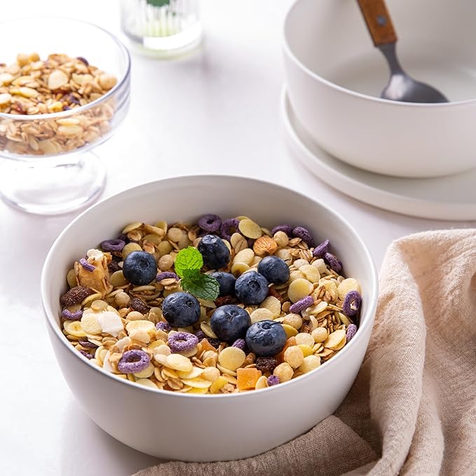 AmorArc Stoneware Cereal Bowls Set of 4, 26oz Soup Bowls Set for Cereal Soup Snacks, Modern Kitchen bowls for Meal, Dishwasher &Microwave Safe,Matte White