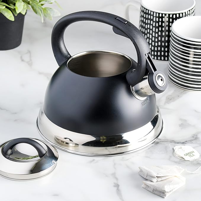 Mr. Coffee Flintshire 1.75-Quart Stainless Steel Whistling Tea Kettle with Nylon Handle – Matte Black Stove-Top Kettle for Boiling Water