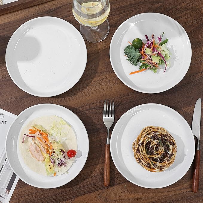Stoneware Dinner Plates Set of 4, 8 Inch Reactive Matte Glaze Ceramic Plates Set, Modern Dinnerware Dish set for Kitchen,Microwave, Dishwasher Safe, Scratch Resistant,White