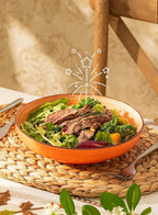 Sweese 6-Pack Ceramic Pasta Bowls, Multicolor Extra Large 30.0 Fl Oz, High-Grade Durable Professional Quality