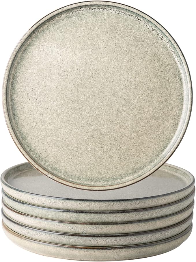 AmorArc Ceramic Plates Set of 6, 8.5 Inch Reactive Glaze Stoneware Plates set, Dessert, Salad, Appetizer, Small Dinner, Microwave, Dishwasher Safe, Scratch Resistant Dishes Set for Kitchen