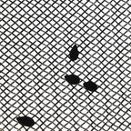 Fine Mesh Colander for Kitchen, 4 Quart Stainless Steel Strainer Bowl for Pasta, Rice, Fruit, Metal Net Baskets with Resting Base - Strain, Drain, Rinse