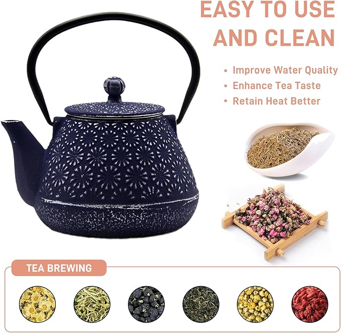 20.3oz Small Cast Iron Teapot, SECHUDO Cast Iron Tea Kettle for Stovetop Safe Coated with Enameled Interior, Cast Iron Tea Pot with Stainless Steel Infuser for Loose Tea (Blue Gerbera Pattern)