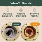 Roobi Keurig Compatible Descaling Solution. Specially Formulated for Descaling & Cleaning. 2 Uses per Bottle, 2 Pack. Carbon Neutral Keurig Descaling Kit.