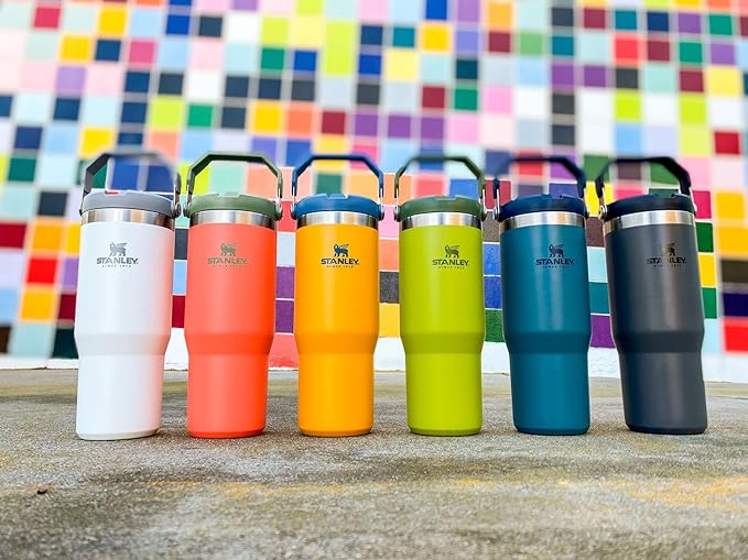 Stanley IceFlow Stainless Steel Tumbler with Straw - Vacuum Insulated Water Bottle for Home, Office or Car - Reusable Cup with Straw Leak Resistant Flip - Cold for 12 Hours or Iced for 2 Days (Polar)