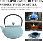 30.4oz Small Cast Iron Teapot, Tea Kettle for Stovetop Safe Coated with Enameled Interior, Japanese Tetsubin, Tea Pot with Stainless Steel Infuser for Loose Tea(900ml)
