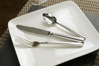 Fortessa Metropolitan 18/10 Stainless Steel Flatware 20 Piece Place Setting, Service for 4