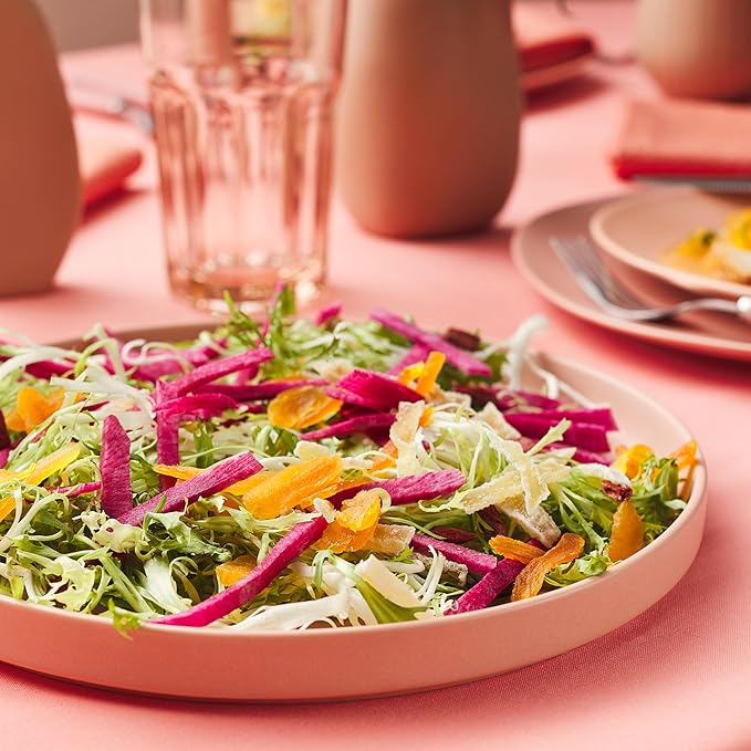 Stone lain Stella Dinner Plate 6-Piece Set, Round, Porcelain, Terracotta