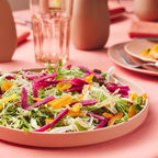 Stone lain Stella Dinner Plate 6-Piece Set, Round, Porcelain, Terracotta