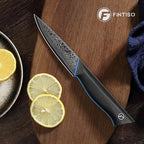 3.75 Inch Paring Knife, Fruit Knives with G10 Handle, 67-Layer Japanese Damascus Steel Forged Small Kitchen Knife, Ultra Sharp Knves with Exquisite Package