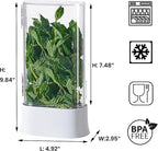 vacane Herb Keeper for Refrigerator, Fresh Herb Saver Herb Storage Containers, Cilantro Container for Fridge Asparagus Container, Dishwasher Safe-2 Pack