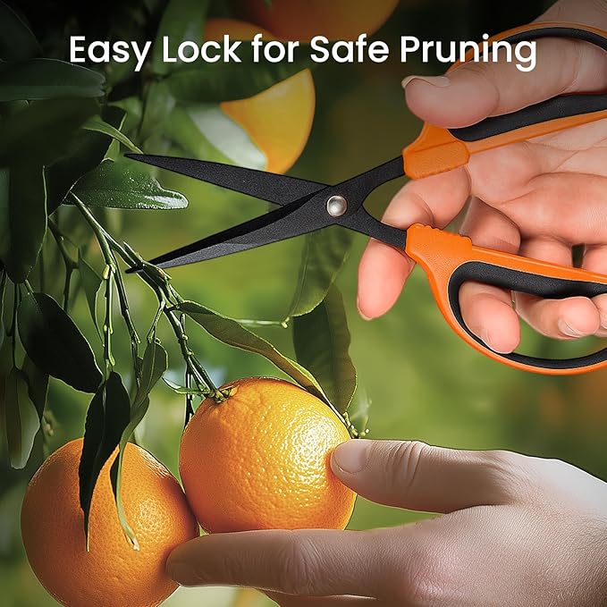 GROWNEER 3 Packs Trimming Scissors Teflon Coated Non Stick Blades Pruning Shears Gardening Hand Pruning Snips with Straight Stainless Steel Precision Blade