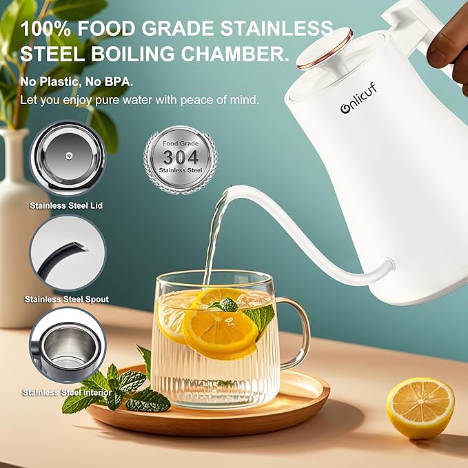 Electric Kettle, Gooseneck Electric Water Kettle for Pour Over Coffee & Tea, 0.8L Quick Heating Small Hot Water Kettle Electric, Stainless Steel, Auto-Off & Boil Dry Protection, Matte White