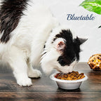 Bluetable 5 oz Bowls Plastic Small Bulk Case Pack (800 Count) Disposable Bowl White – for Party Dessert Mini Bowls Soup & Horderves Great for Paint Project Small Bulk [800 Pack/Case]