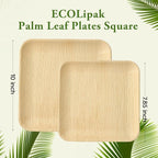 ECOLipak 48 Pack Compostable Palm Leaf Plate Like Bamboo Plate, 10 Inch and 7.85 Inch Disposable Biodegradable Plates Suitable for Party, Dinner