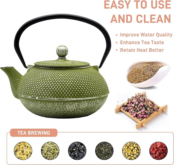 Cast Iron Teapot Tea Kettle with Stainless Steel Infuser for Stovetop Safe Coated with Enameled Interior Japanese Green Tetsubin for Loose Tea(30.4oz/900ml)