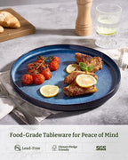 famiware Star Dinner Plates for 6, 10 inches Plate Set, Scratch Resistant, Stoneware Dinnerware, Kitchen Modern Rustic Serving Dishes, Nebulas Blue