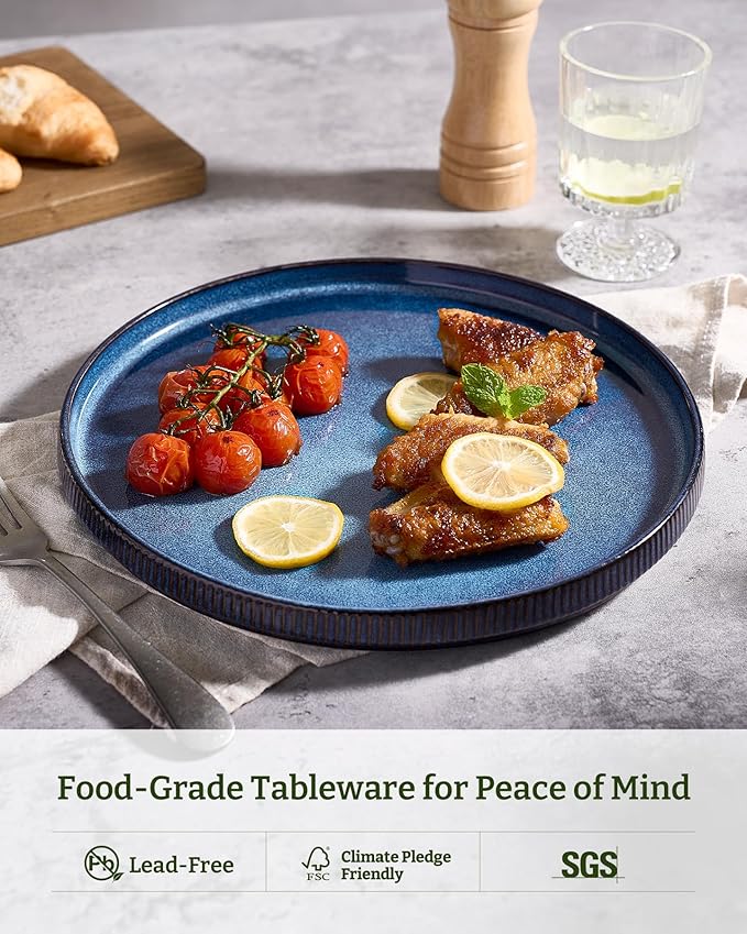 famiware Star Dinner Plates for 6, 10 inches Plate Set, Scratch Resistant, Stoneware Dinnerware, Kitchen Modern Rustic Serving Dishes, Nebulas Blue