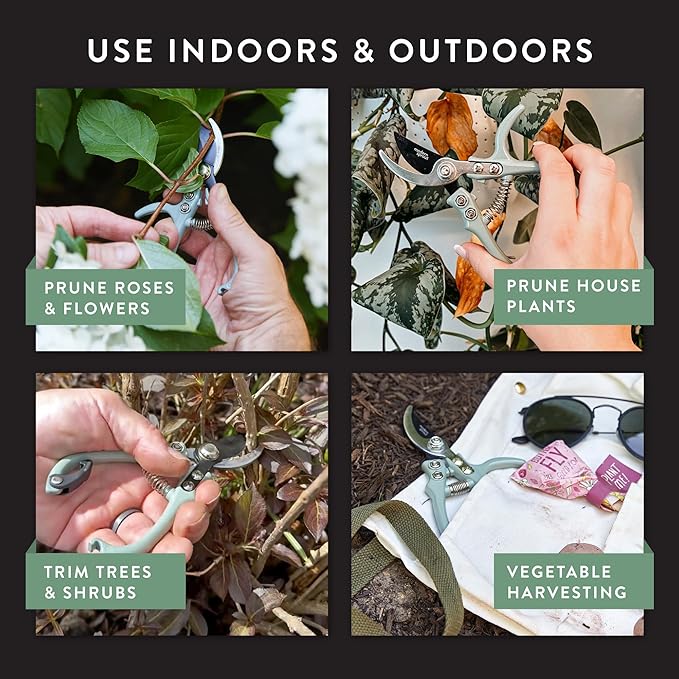 Modern Sprout Hand Pruners - Lightweight Pruning Shears W/Easy Lock- Gardening Scissors - Bypass Sharp Carbon Steel Blade - Rust Resistant - Garden Tools - Reusable Holster - Ocean
