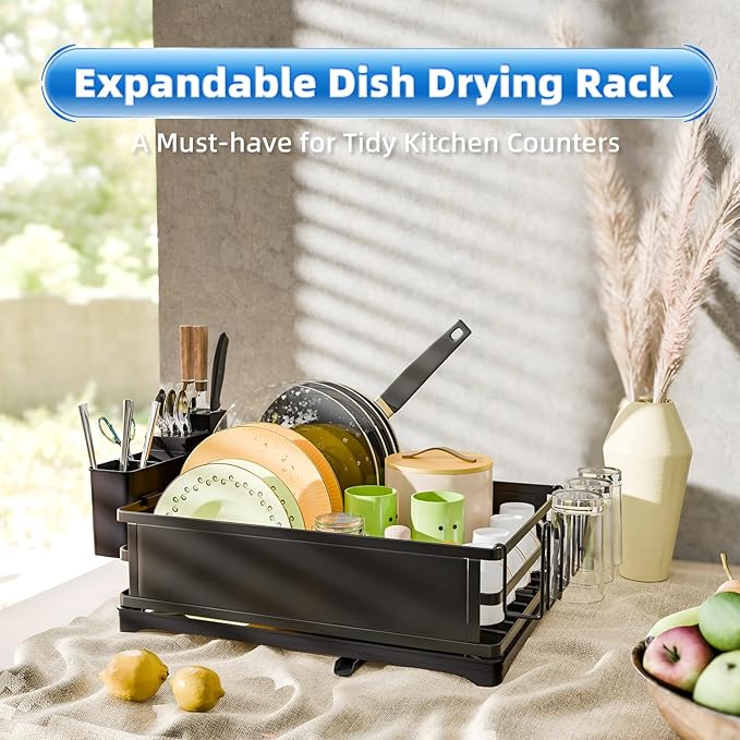 Simple Trending Dish Rack, Steel Dish Drying Rack for Kitchen Counter, Dish Drainer with Cutlery Holder for Large Capacity, Dish Drying Rack with drip Tray, Black