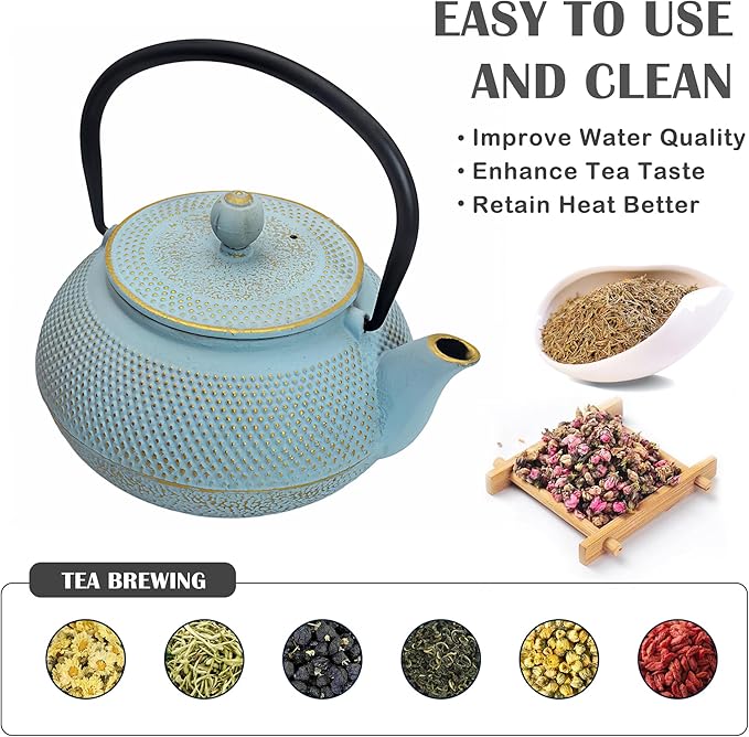 30.4oz Small Cast Iron Teapot, Tea Kettle for Stovetop Safe Coated with Enameled Interior, Japanese Tetsubin, Tea Pot with Stainless Steel Infuser for Loose Tea(900ml)