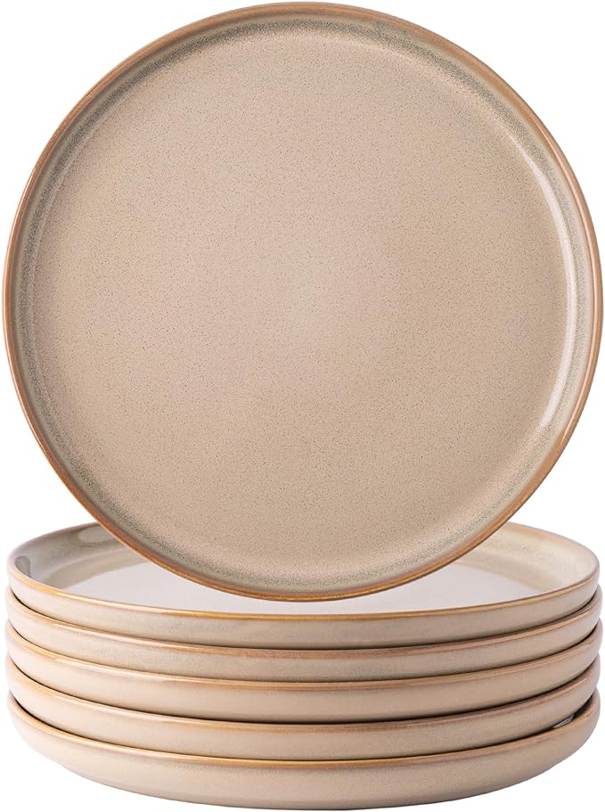 AmorArc Dinner Plates Set of 6, 10.5 Inch Reactive Glaze Ceramic Plates Set, Microwave, Dishwasher Safe, Scratch Resistant, Modern Large Dinnerware Dishes Set Kitchen Stoneware Plates