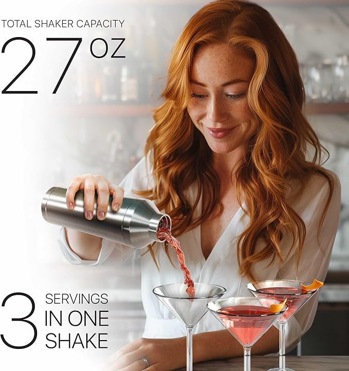 Insulated Cocktail Shaker Set | Double Wall Stainless Steel | Martini Shaker for Home Bar Bartending | Built-in Drink Measurement System & Strainer, Travel Bag, 35 Recipes | Gift Set (Silver)