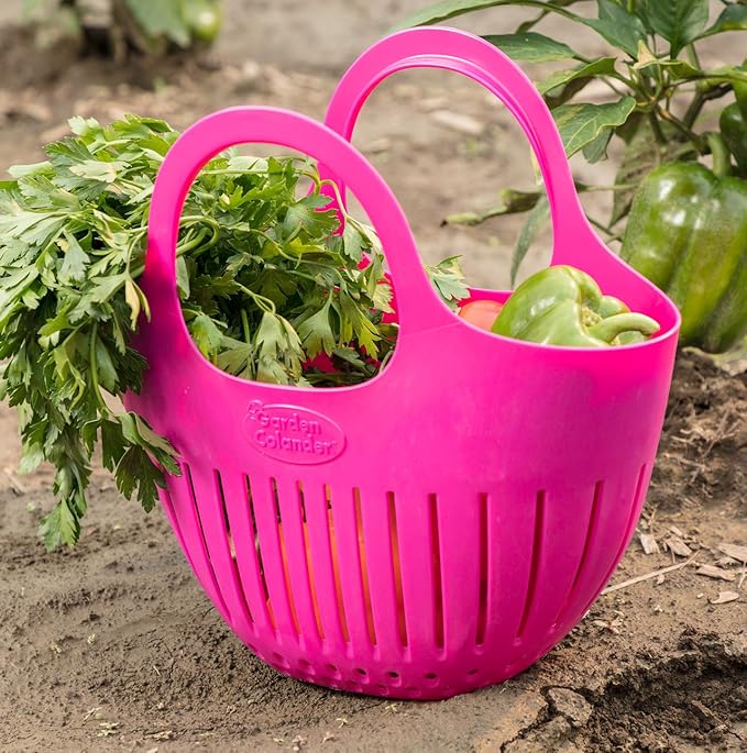 Hutzler Mini Colander Garden Basket, Small, Green