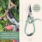 Modern Sprout Hand Pruners - Lightweight Pruning Shears W/Easy Lock- Gardening Scissors - Bypass Sharp Carbon Steel Blade - Rust Resistant - Garden Tools - Reusable Holster - Lavender