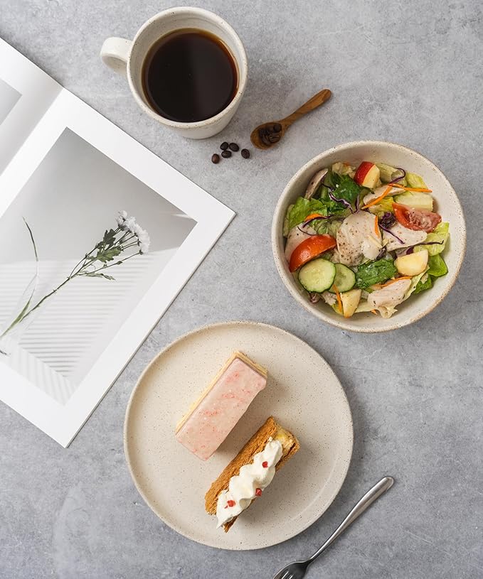 Stoneware Plate Set of 4-8.5" Ceramic Flat Plates for Salad, Appetizer, Dessert, Lunch & Dinner - Microwave, Oven & Dishwasher Safe, Scratch Resistant - Minimalist Design - Oatmeal Cream