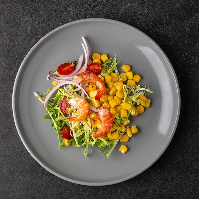 AmorArc Ceramic Dinner Plates Set of 6,10.5 inch Large Stoneware plates for Kitchen,Dinnerware Dishes set- Microwave,Dishwasher Safe,Scratch Resistant-GREY