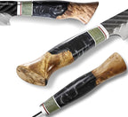 SHANGDAO Damascus Utility Knife 4.8 Inch Fruit Knife with Leather Sheath 67 Layers Alloy Steel Peeling Cutter - Hand Forged Resin & Wood Handle QILIN Series