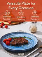 Sweese Dinner Plates, 10 Inch Round Porcelain Plates, Dish Set for Lunch, Party, Wedding, Restaurant, Microwave, Oven, Dishwasher Safe Plates Set of 6, Cool Assorted Colors