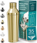 Insulated Cocktail Shaker Set | Double Wall Stainless Steel | Martini Shaker for Home Bar Bartending | Built-in Drink Measurement System & Strainer, Travel Bag, 35 Recipes | Gift Set (Gold)