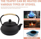 20.3oz Only, Small Tea Kettle for 1-2 Cups, Japanese Tetsubin, Cast Iron Teapot with Stainless Steel Infuser for Loose Leaf & Coffee, Tea Pot for Stovetop Safe, Enamel Interior(Black, 600ml)
