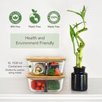 Large Glass Bento Box Containers with Bamboo Lids, 3 Compartment Glass Meal Prep Container Set (2 Pack, XL) - 100% Plastic Free, Eco-Friendly Lunch Containers, Bento Boxes for Adults